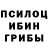 Псилоцибиновые грибы Psilocybe MeLoDy_MV _